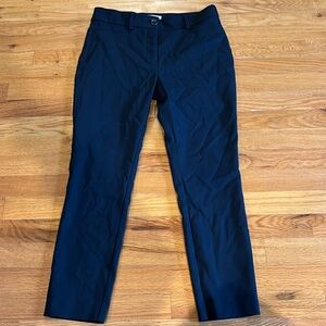 Loft Sutton Skinny Pants very lightly used
